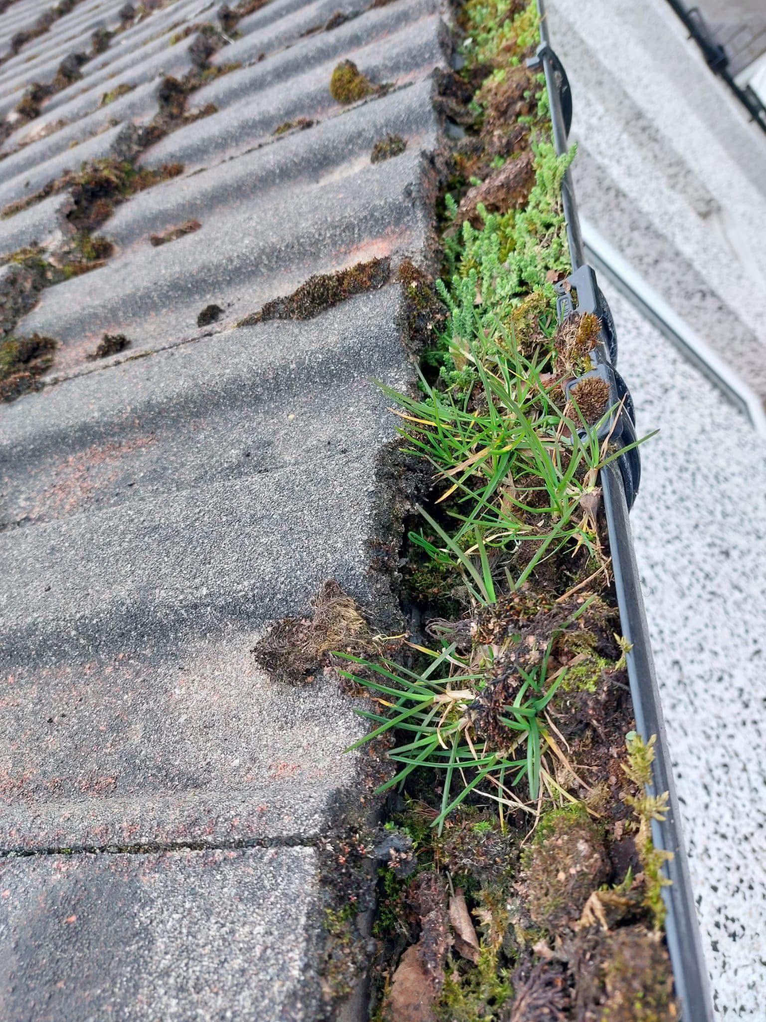 Gutter Cleaning - Before cleaning